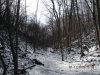 DSCN1390.JPG