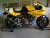 duc.right_zpsh8tlh03c[1].jpg