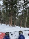 BC807823-471F-4142-8236-FF7D267F0C53.jpeg