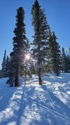 20230210_101348.jpg