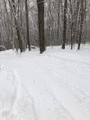 IMG_1963.jpg