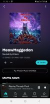 Screenshot_20230305-111637_Amazon Music.jpg