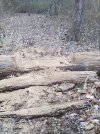 IMG_20230310_140118.jpg