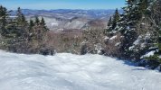 20230312_123945.jpg