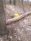 IMG_20230322_150308.jpg
