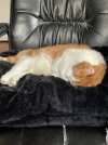 IMG_1491.jpeg