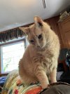 IMG_1535.jpeg