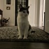 IMG_2617.jpeg