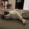 IMG_2618.jpeg