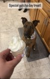 IMG_9899.jpeg