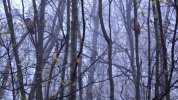 Dsc00156.jpg