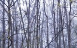 Dsc00155.jpg