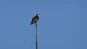 Dsc00170.jpg