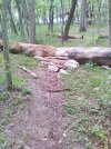 IMG_20230516_163410.jpg