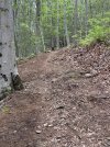 IMG_1687.jpeg