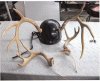 antler helmet.jpg