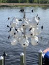 IMG_6087.jpeg