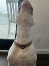 IMG_6059.jpeg