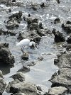 IMG_5369.jpeg