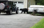 Dsc00342.jpg