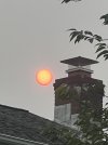 IMG_2231.jpeg