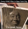 FB_IMG_1686837500362.jpg