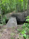 Beaver Dam on Bridge.jpg