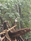IMG_0496.jpeg