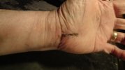 Dsc00453.jpg