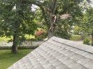 IMG_0845.jpeg