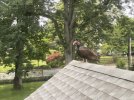 IMG_0844.jpeg