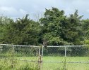 IMG_5532.jpeg