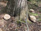 IMG_9428.jpg
