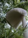 IMG_7297.jpeg