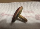 IMG_7311.jpeg