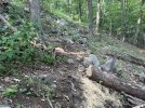 IMG_1107.jpeg