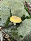 IMG_3847.jpeg