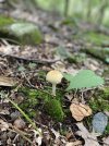 IMG_3838.jpeg