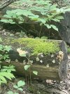 IMG_9939.jpeg