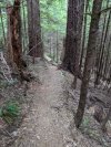PXL_20230721_162348031.jpg