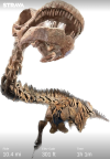 PNG image 29.png