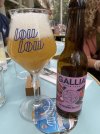 IMG_3437.jpeg