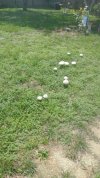 IMG_20230814_135428233.jpg