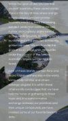 IMG_4107.jpeg