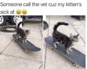 8C23E249-4FDF-4C3B-8CC3-6C4C21AE462F.jpeg