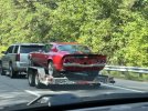 IMG_5291.jpeg