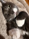 IMG_1341.jpeg
