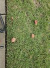 20231001_105835.jpg