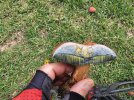 20231001_105924.jpg
