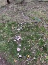 IMG_0557.jpg